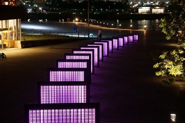 ドテラ事業を選んだわけ