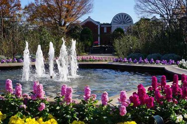 TFO会員専用コーナー