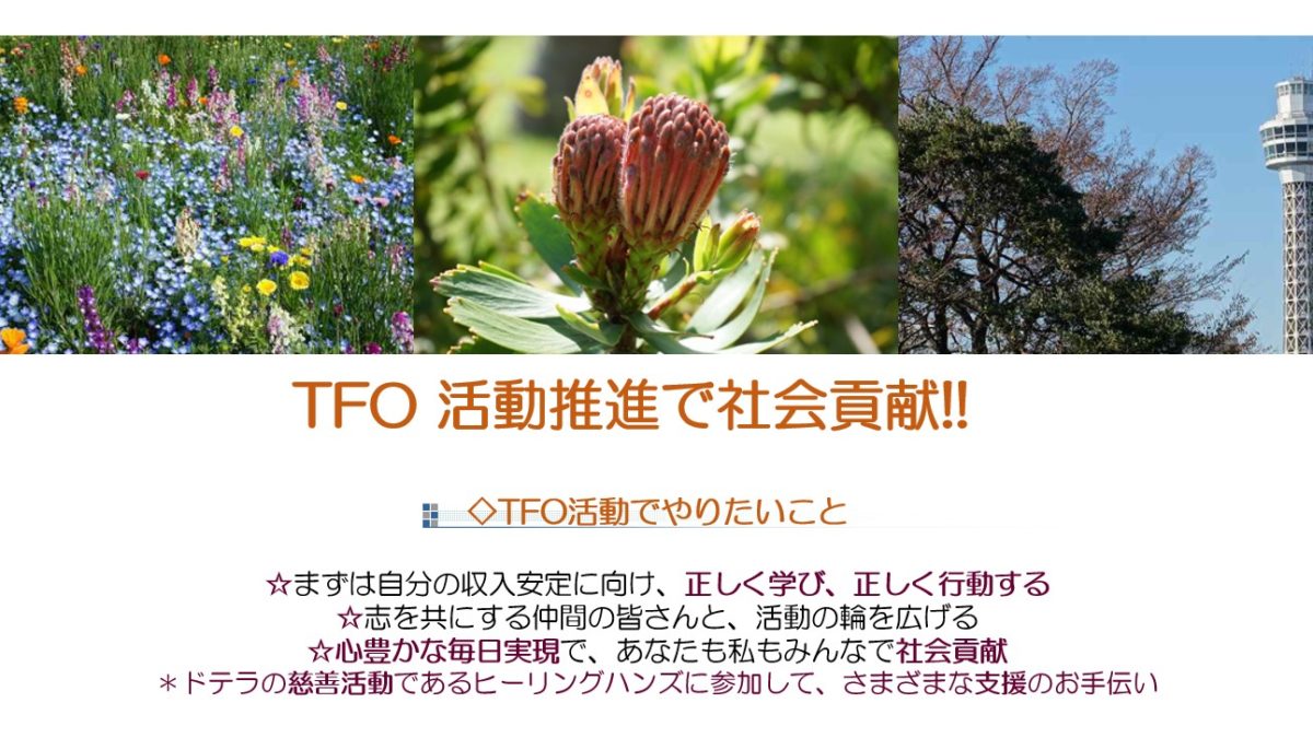 TFO活動推進で社会貢献